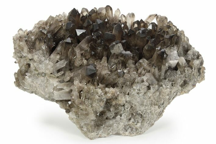 Smoky Quartz Crystal Cluster on Metal Stand - Brazil #229590